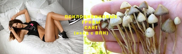 кокс Арсеньев